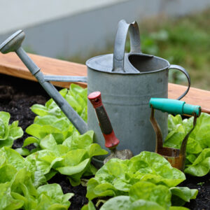 Lawn and Garden - Greenhouses, tools, and gardening equipment