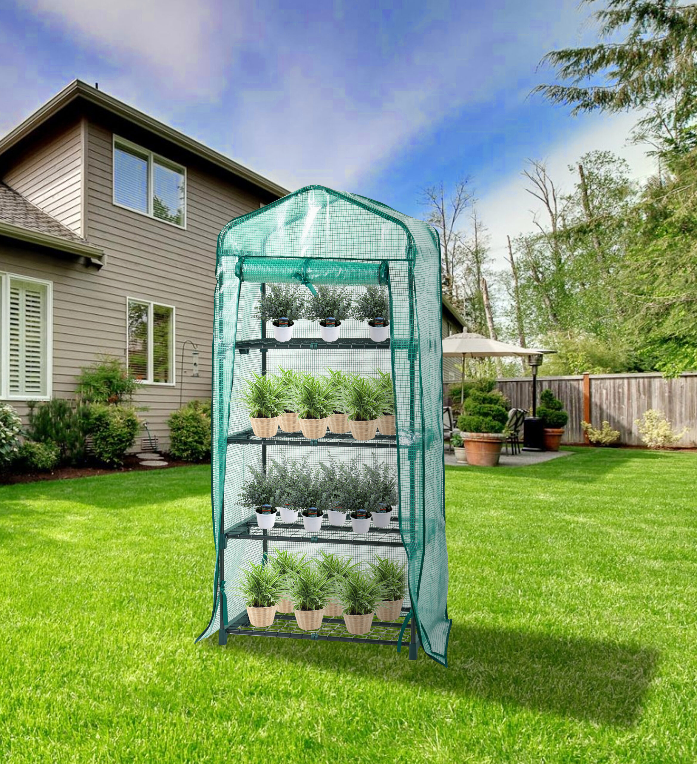 4 tier greenhouse angle view