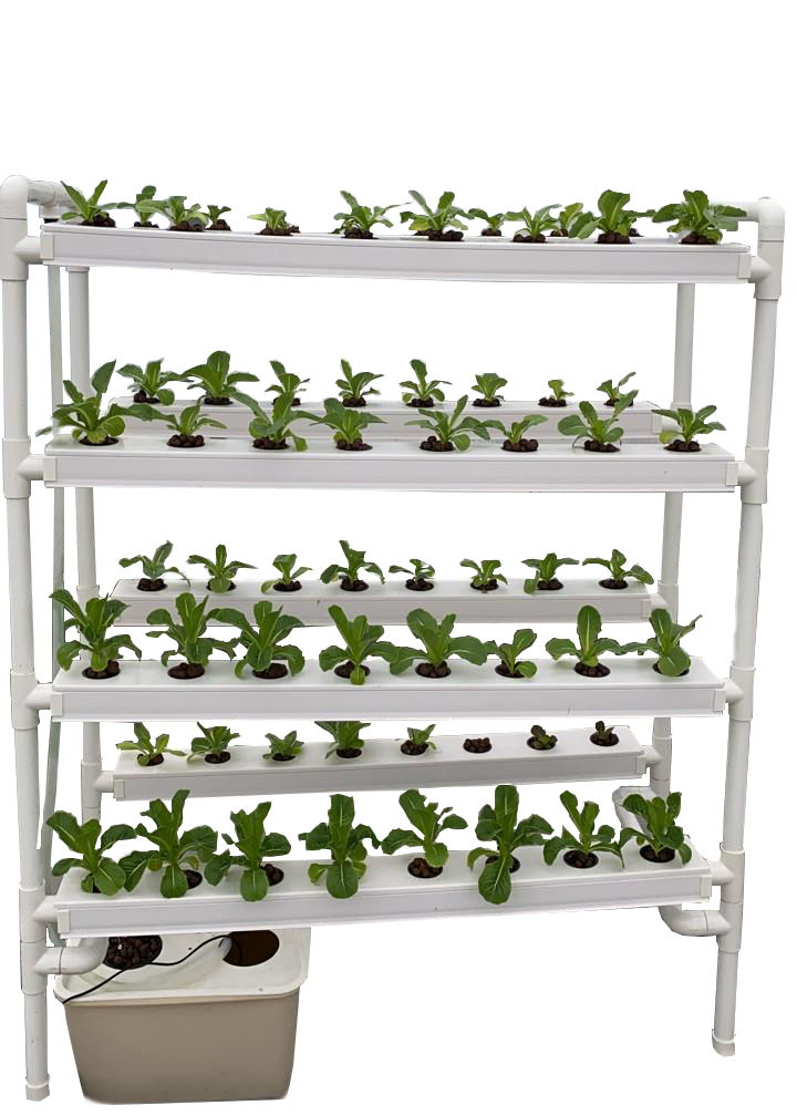 Hydroponic Vertical Garden