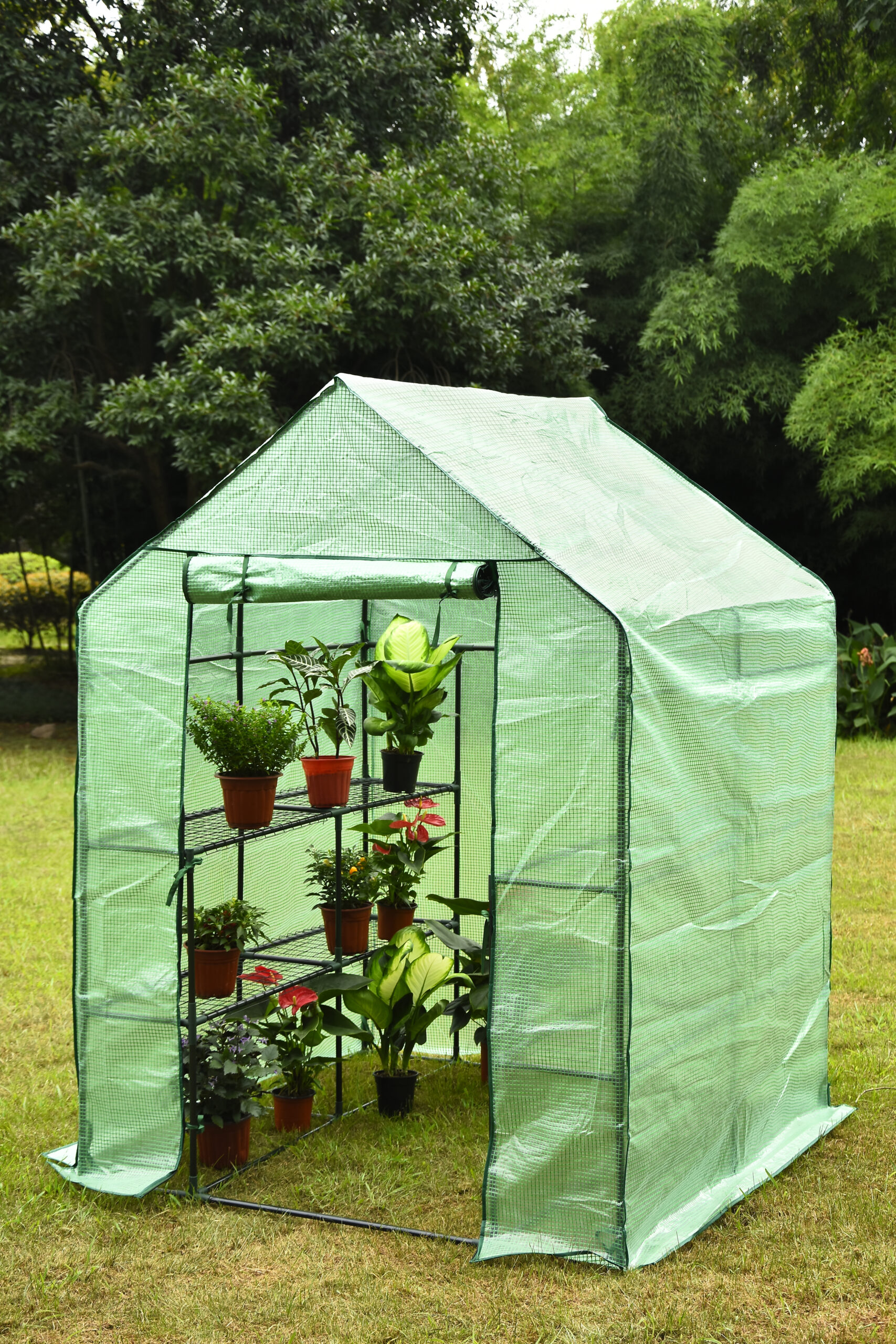 Walk-in Greenhouse